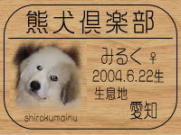 �݂邭�����I���}�}����̂g�o�ւf�n�I